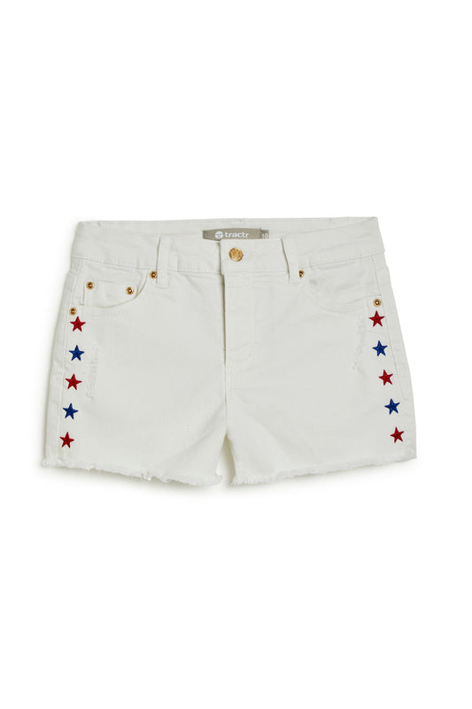 USA Star Print Embroidery Shorts