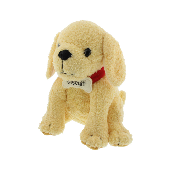 Meet Biscuit Book and Plush Toy