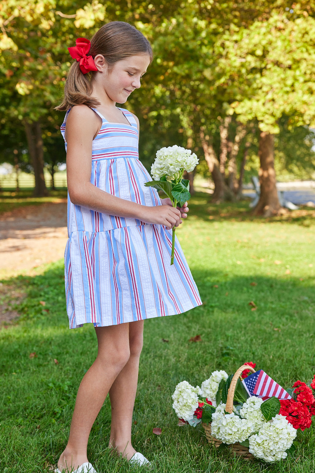 Georgia Dress - Americana Stripe