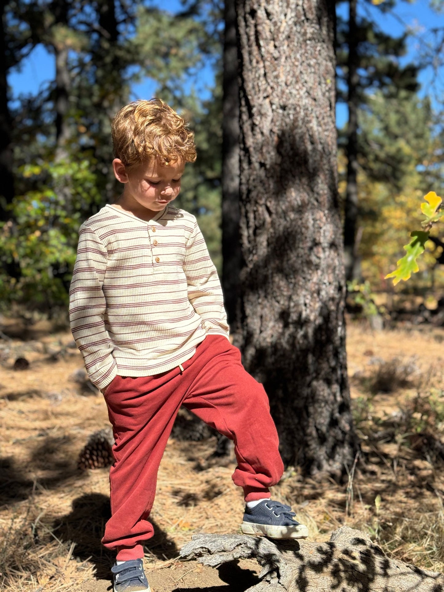 Comfy Jersey Jog Pants, Burgundy