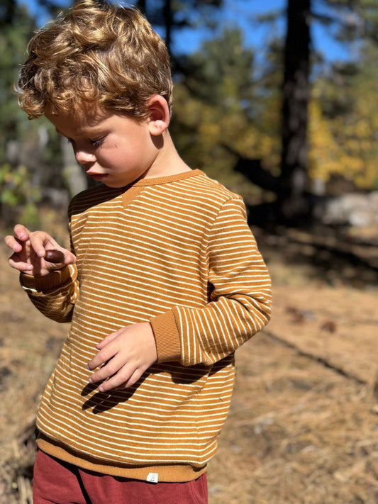 Tarquin Sweatshirt, Beige/Gold Brushed Stripe