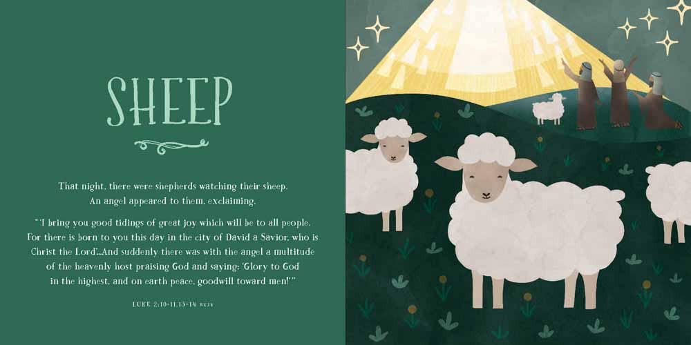From Eden to Bethlehem, Board Book