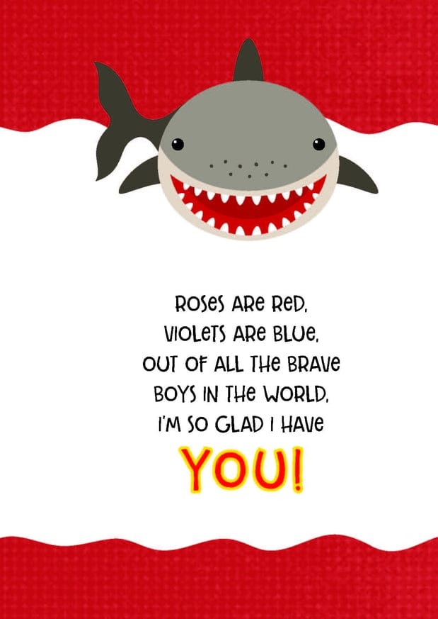 Lunchbox Notes for Brave Boys