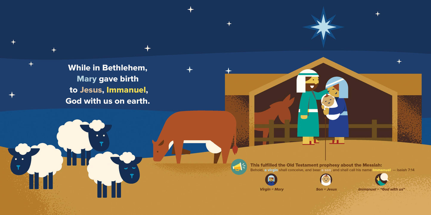 The Most Special Christmas Night: Board Book / English