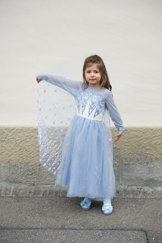 Once Upon a Time Winter Princess Dress