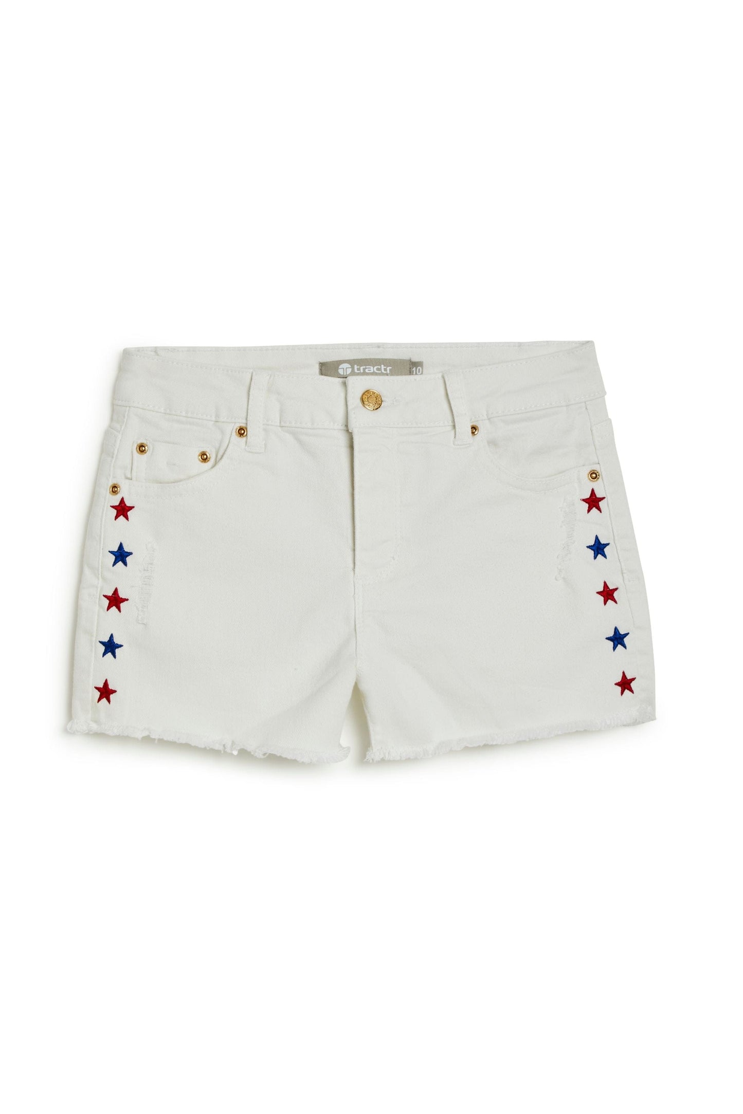 USA Star Print Embroidery Shorts