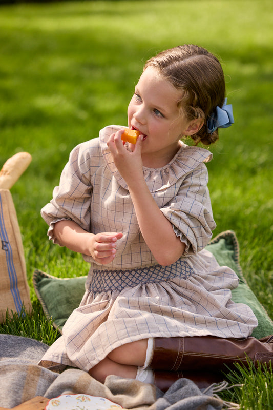 Smocked Molly Skirt, Durham Windowpane