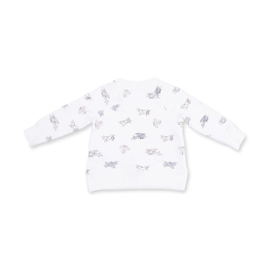 Vintage Airplane Pilots, Raglan Sweatshirt