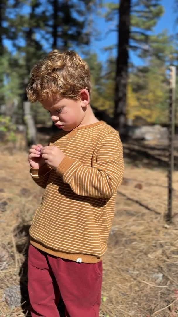 Tarquin Sweatshirt, Beige/Gold Brushed Stripe