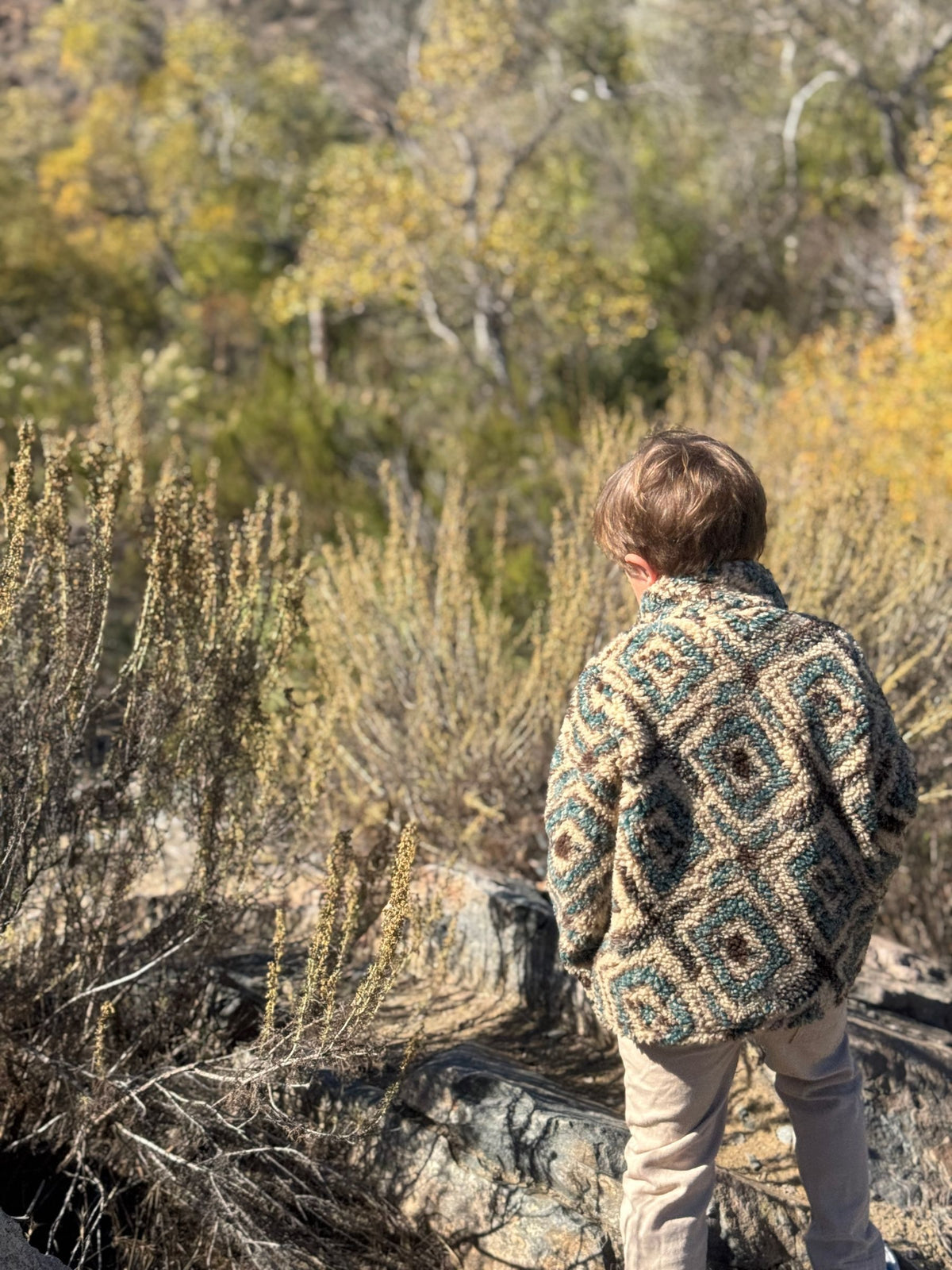 Macchu Sherpa, Brown/Teal Multi Stripe