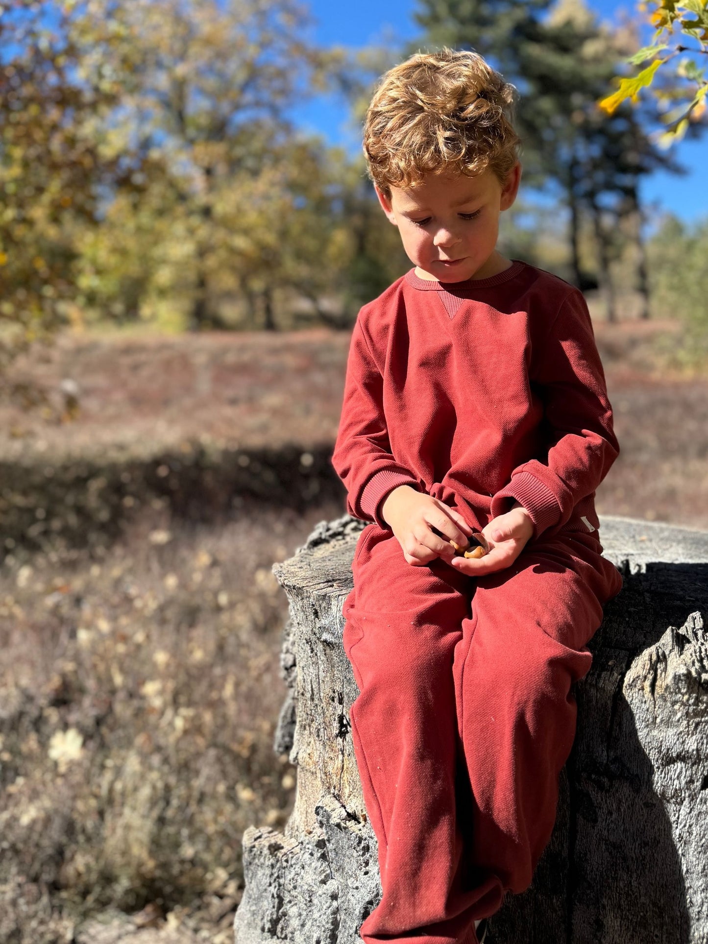 Tarquin Pique Sweatshirt, Burgundy