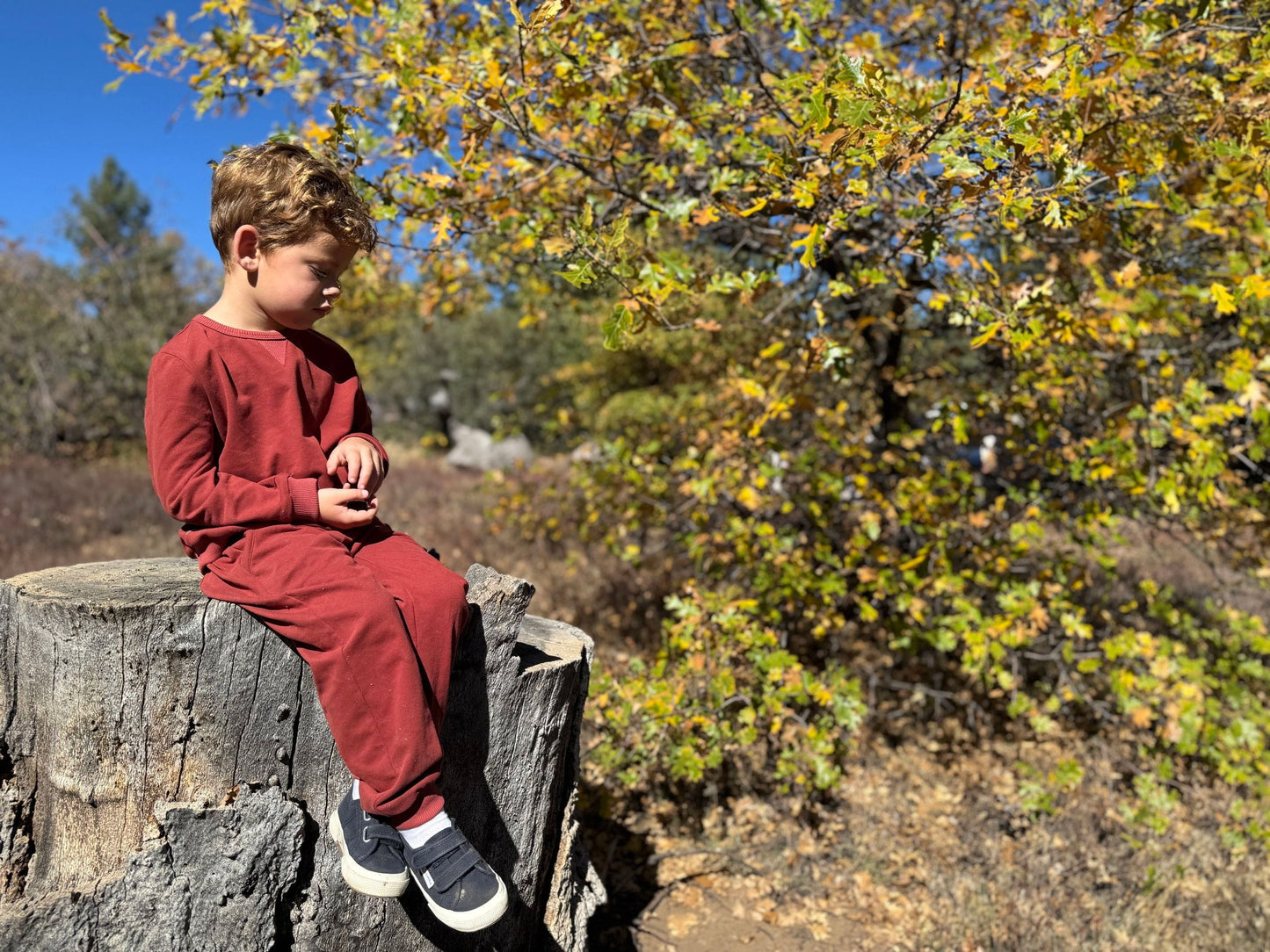 Tarquin Pique Sweatshirt, Burgundy