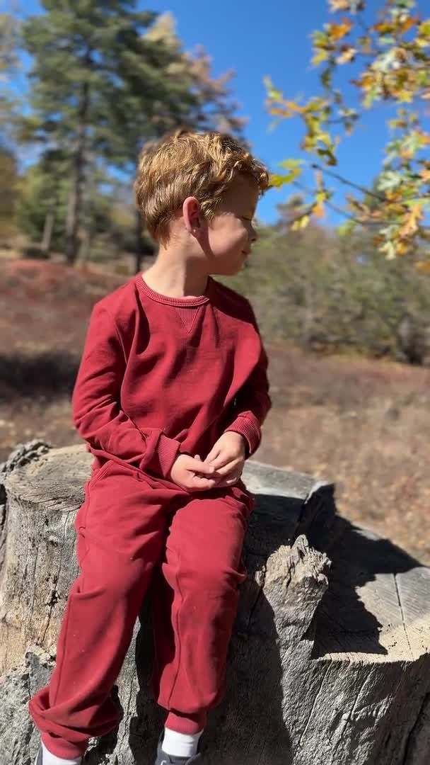 Tarquin Pique Sweatshirt, Burgundy