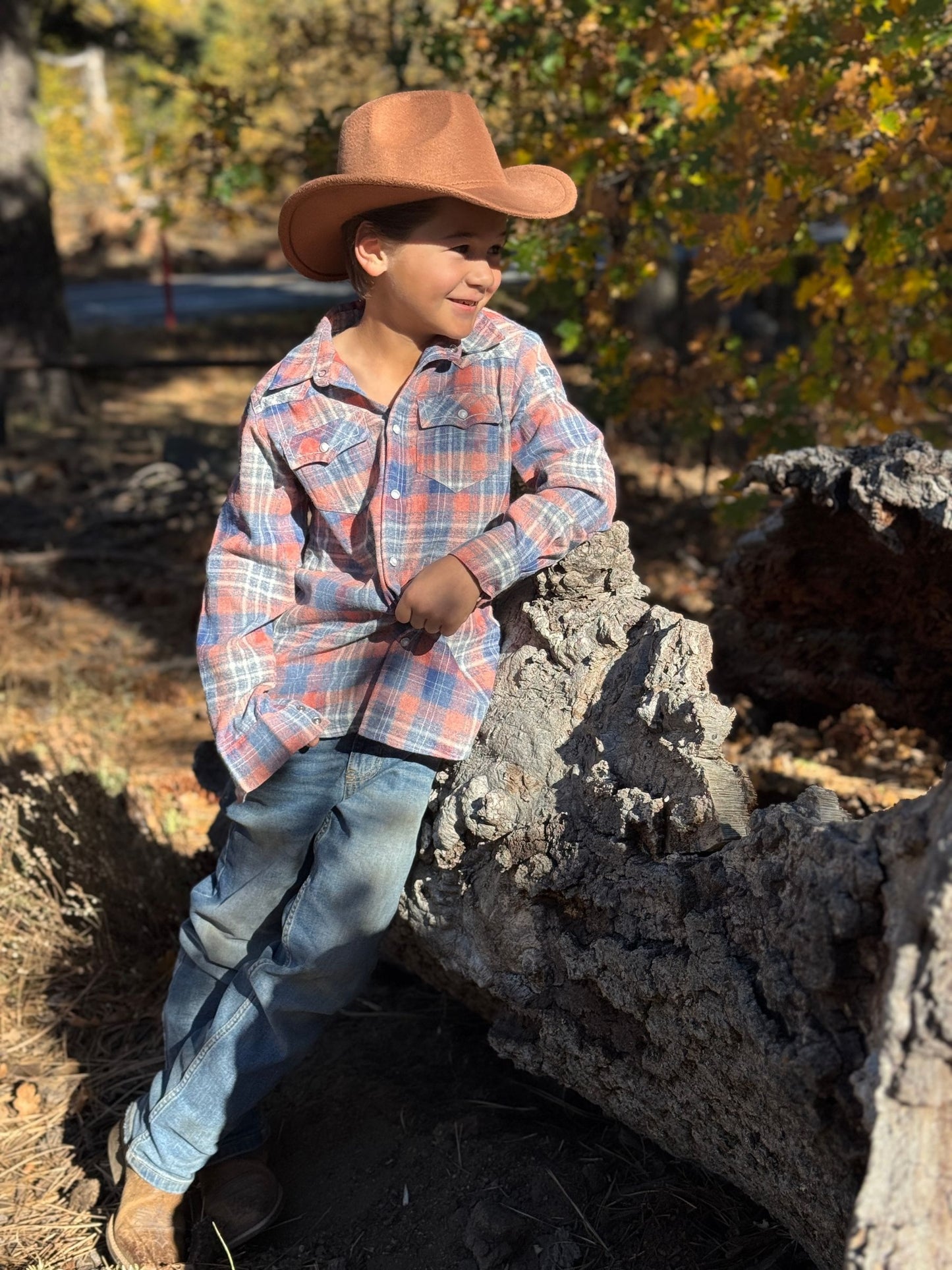 Howdy Western Shirt, Apricot/Blue Plaid