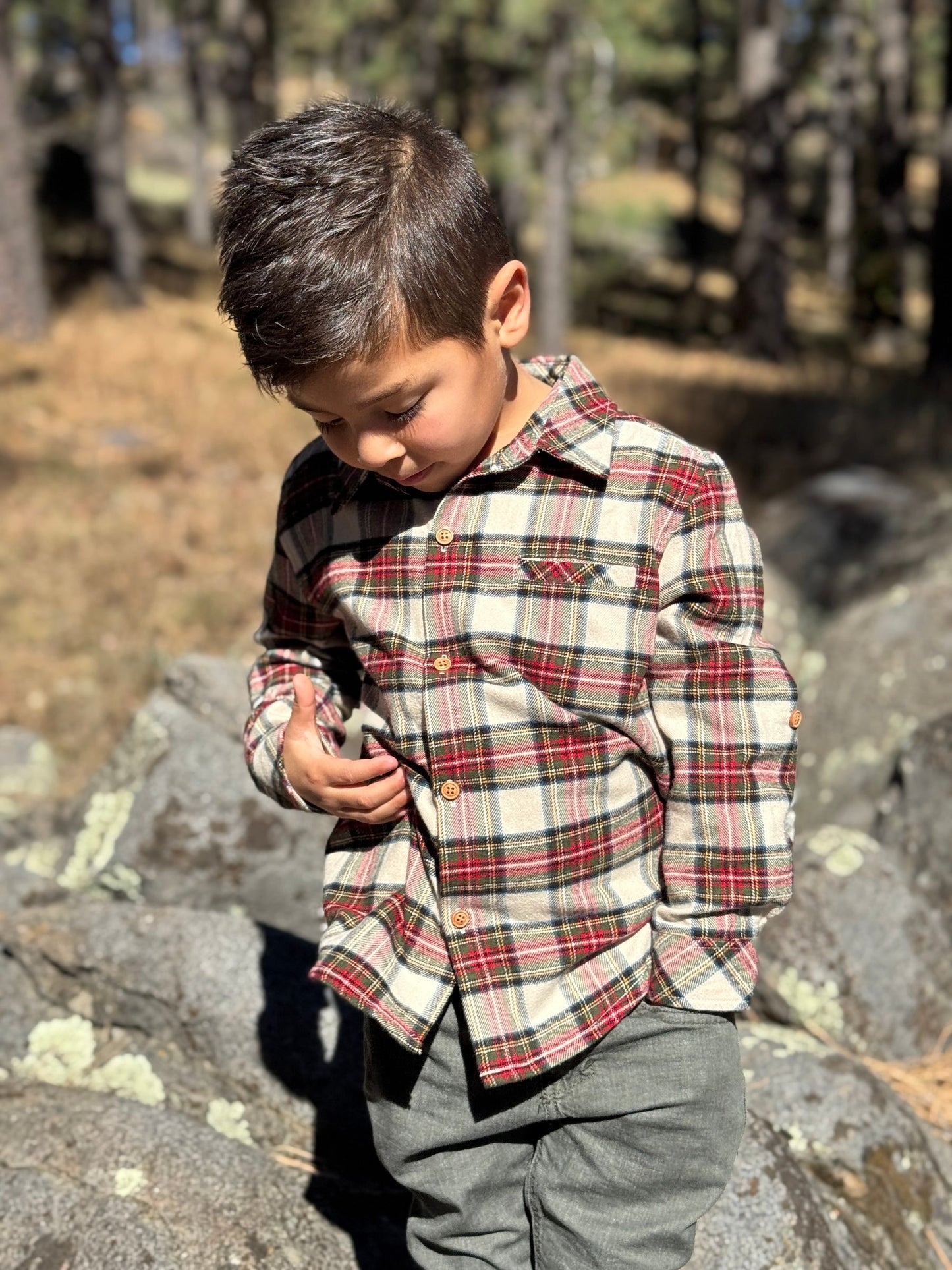 Atwood Woven Shirt, Cream/Green Plaid