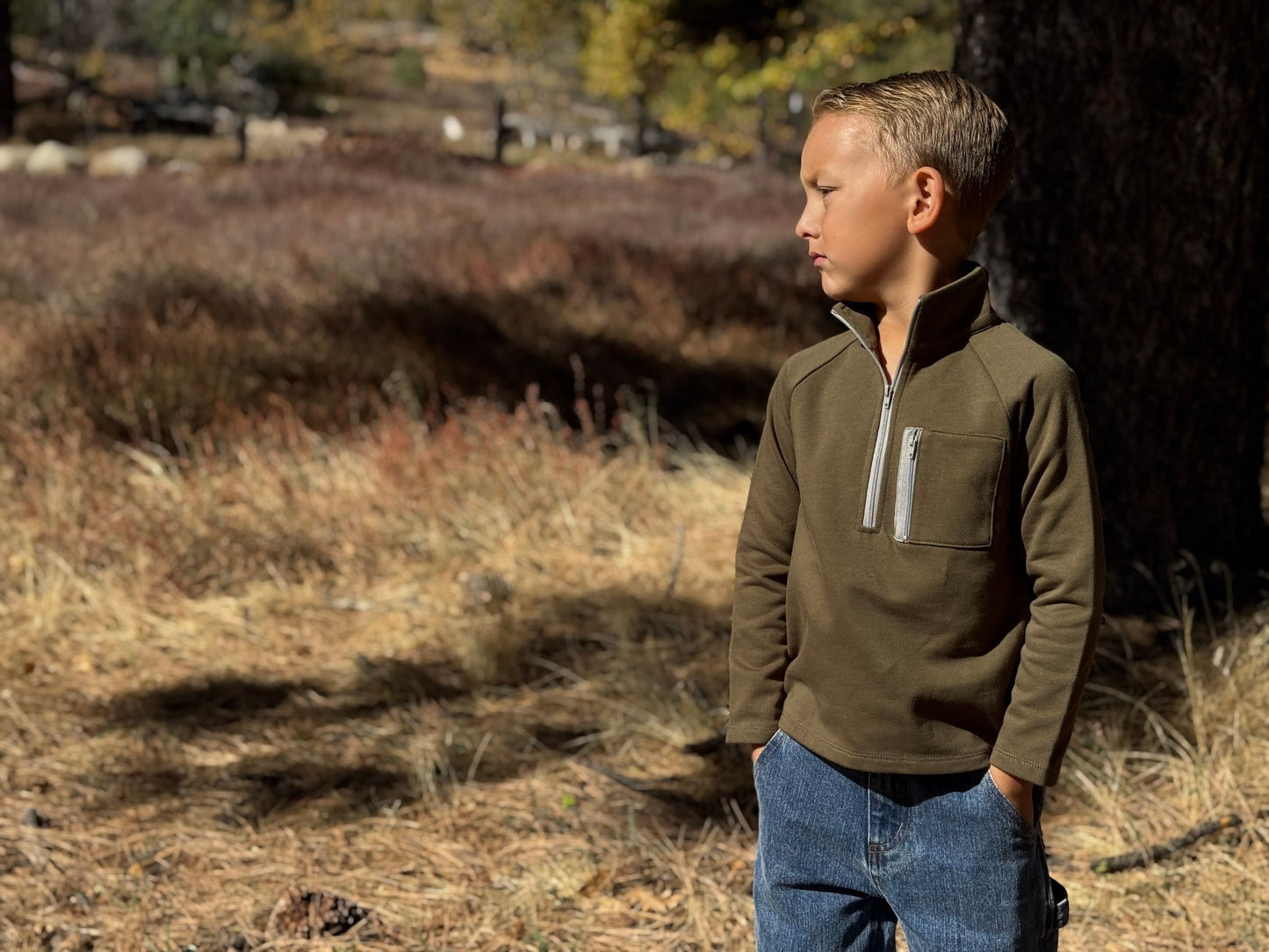 Picket 3/4 Zip Pullover, Sage