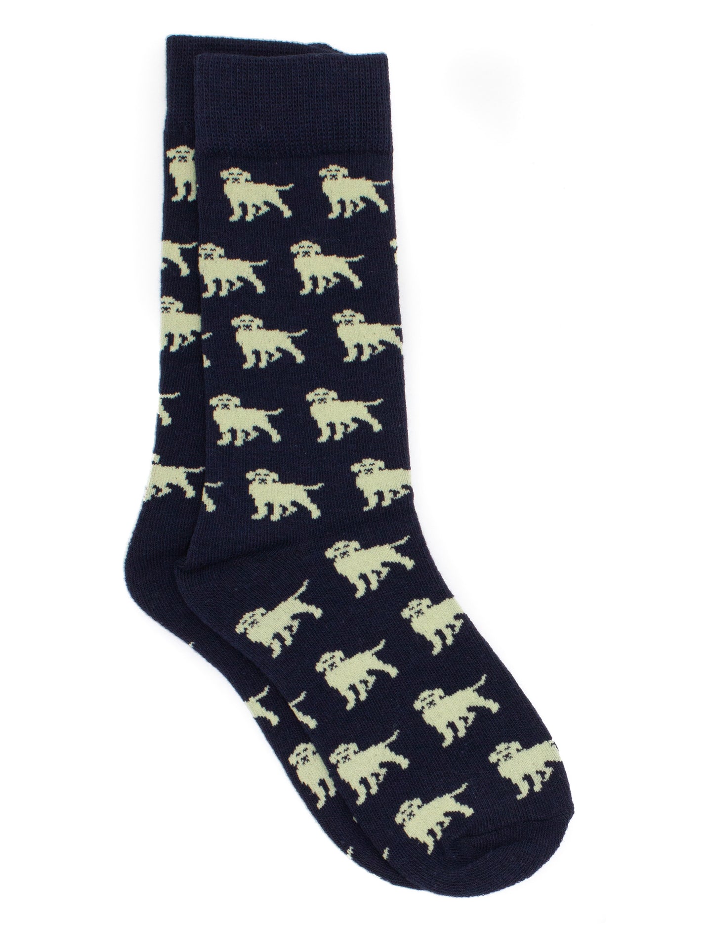 Boys Lucky Duck Socks, Golden Retriever