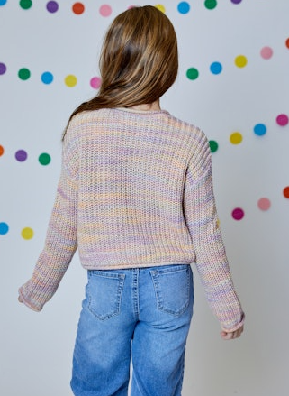 Pastel Multi Sweater