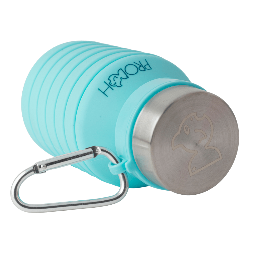 Collapsible Silicone Water Bottle, Turquoise