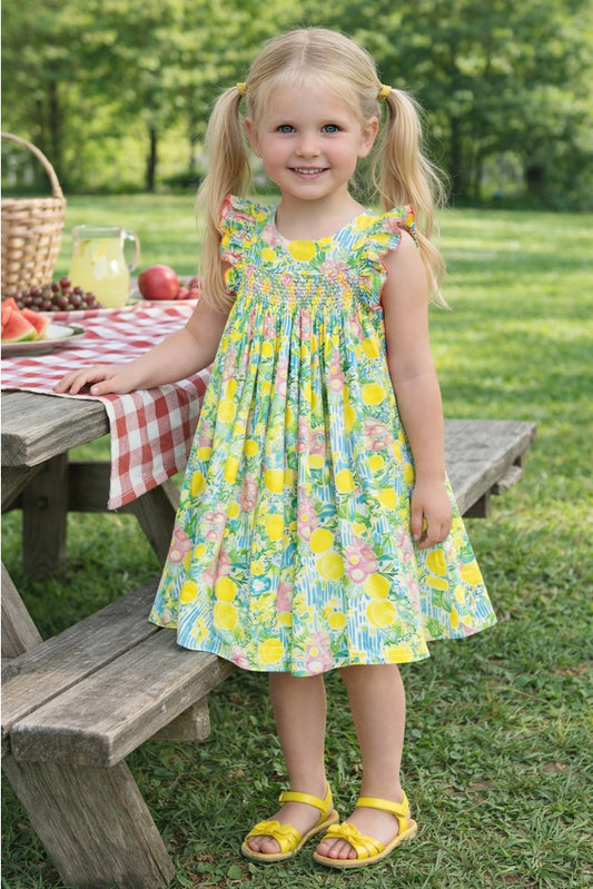 white christmas dresses Marco & Lizzy by Little Threads Blue Flowers Smocked Dress main image 0